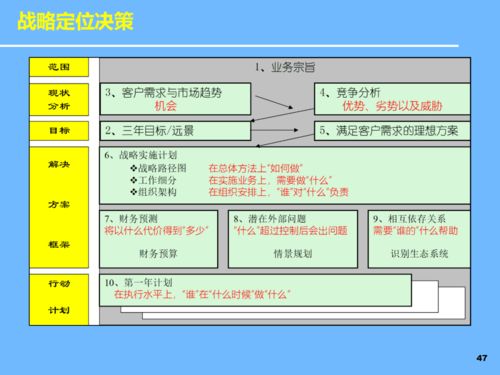 Pptl新產品開發與產品戰略規劃 計算機軟件開發與銷售一體化路徑
